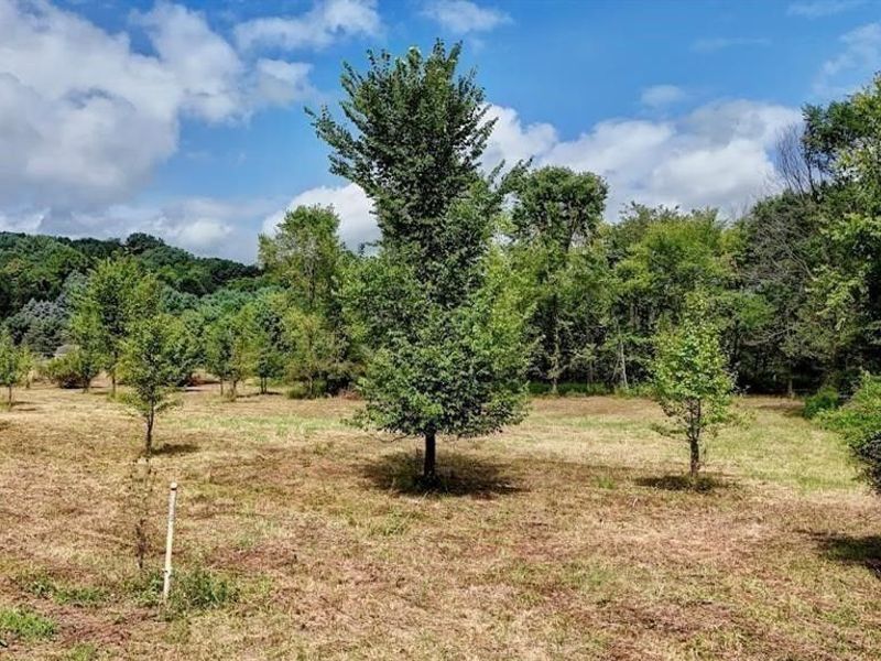 Swonger Road, Dover, OH 44622 Photo 3