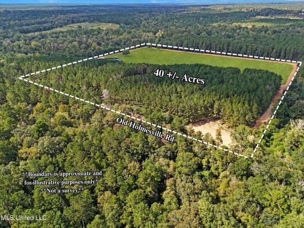 869 Old Holmesville Road, Tylertown, MS 39667