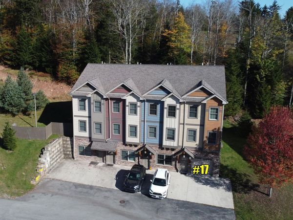 17 Creekside Villa, Snowshoe, WV 26209