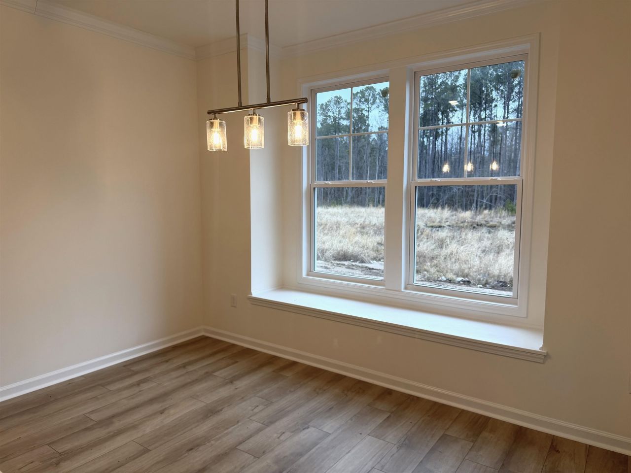 3040 Gadwall Dr. Photo 10