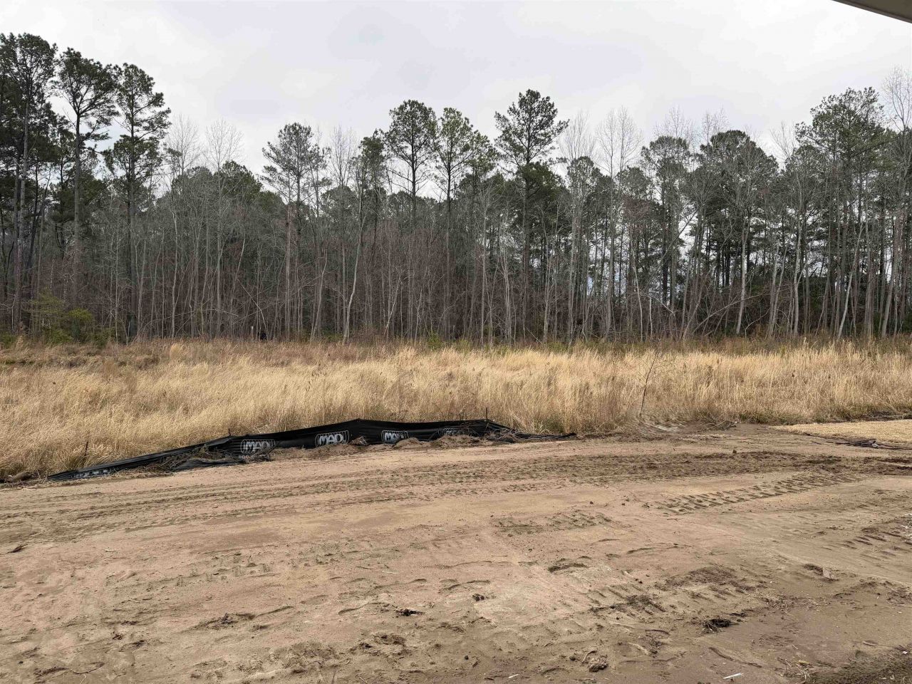 3040 Gadwall Dr. Photo 19