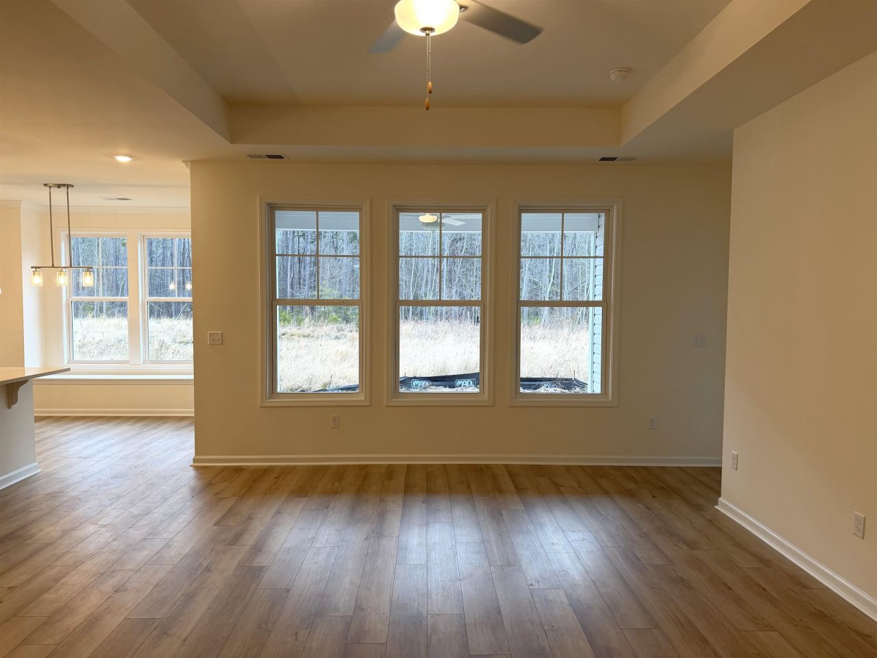 3040 Gadwall Dr. Photo 4