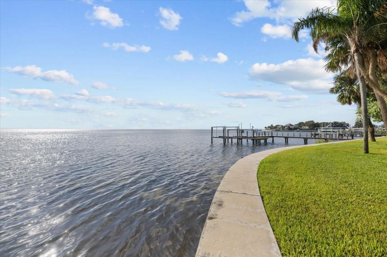 6620 Colony Drive S, Saint Petersburg, FL 33705 Photo