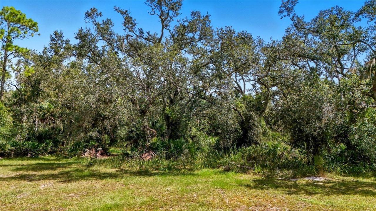 344 S Moon Drive, Venice, FL 34292 Photo