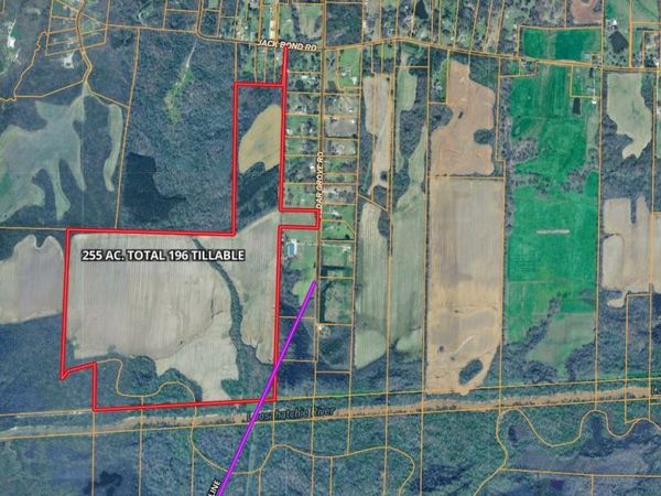 255 CEDAR GROVE DR, Arlington, TN 38002