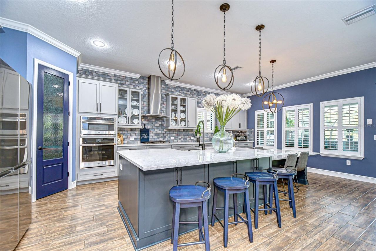 21867 Amelia Rose Way, Land O Lakes, FL 34637 Photo