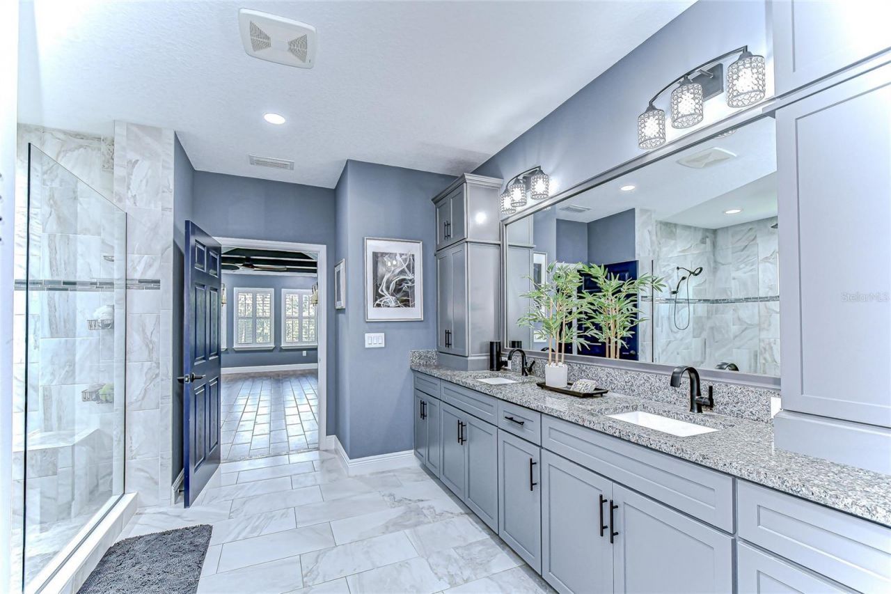 21867 Amelia Rose Way, Land O Lakes, FL 34637 Photo