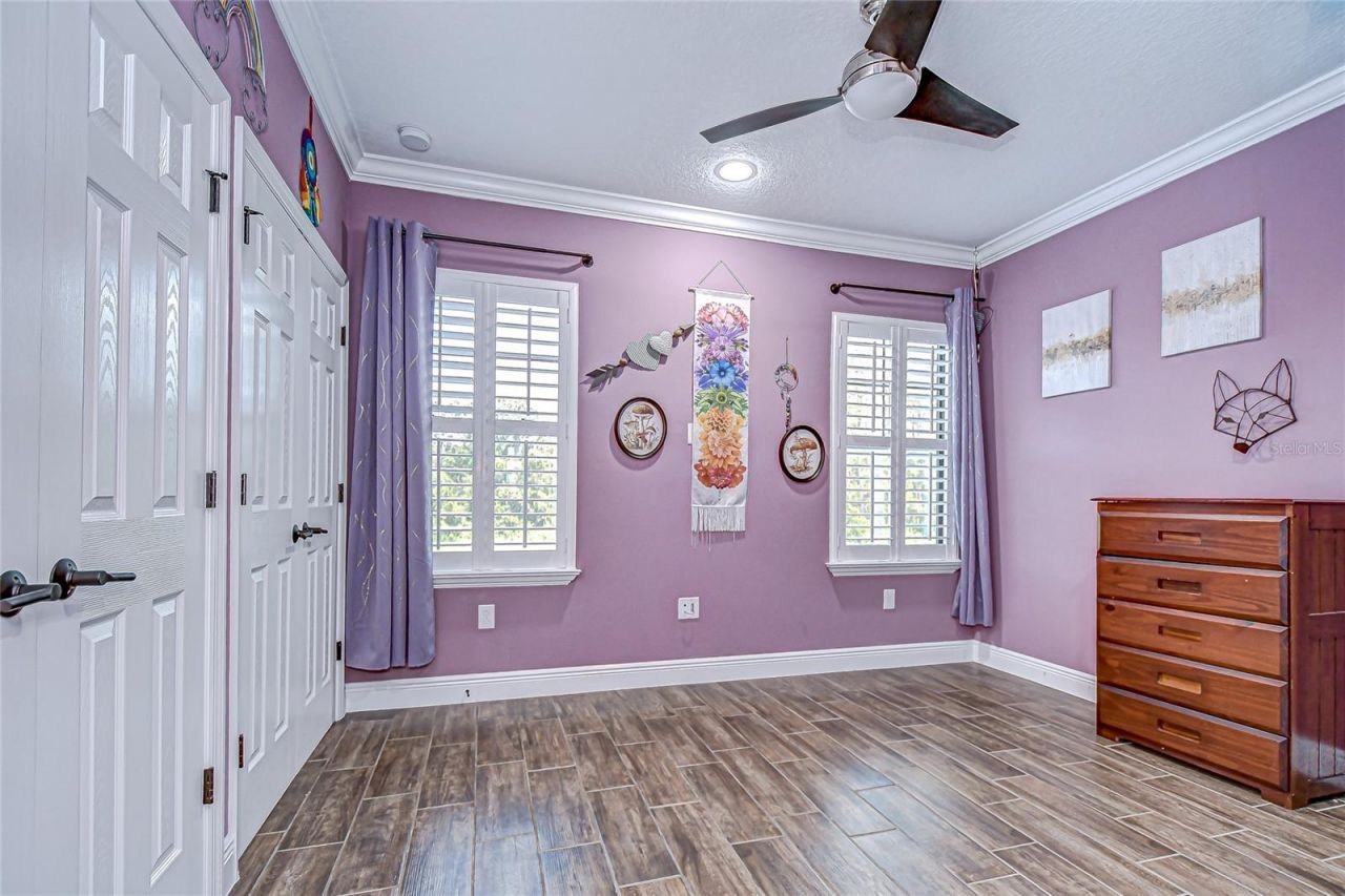 21867 Amelia Rose Way, Land O Lakes, FL 34637 Photo