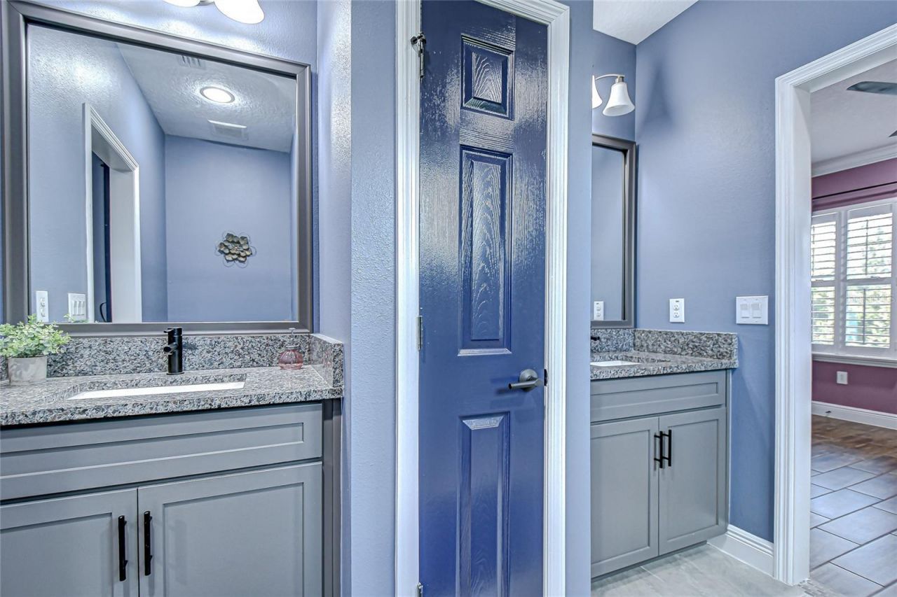 21867 Amelia Rose Way, Land O Lakes, FL 34637 Photo