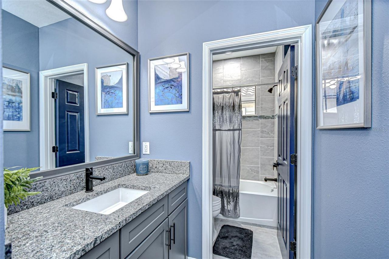 21867 Amelia Rose Way, Land O Lakes, FL 34637 Photo