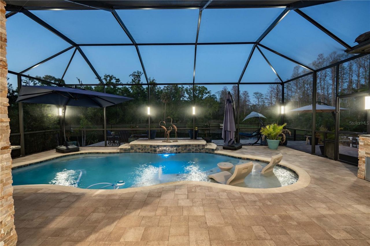 21867 Amelia Rose Way, Land O Lakes, FL 34637 Photo