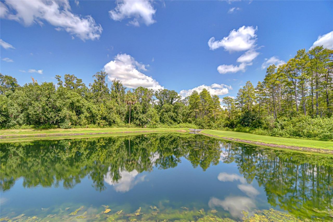 21867 Amelia Rose Way, Land O Lakes, FL 34637 Photo