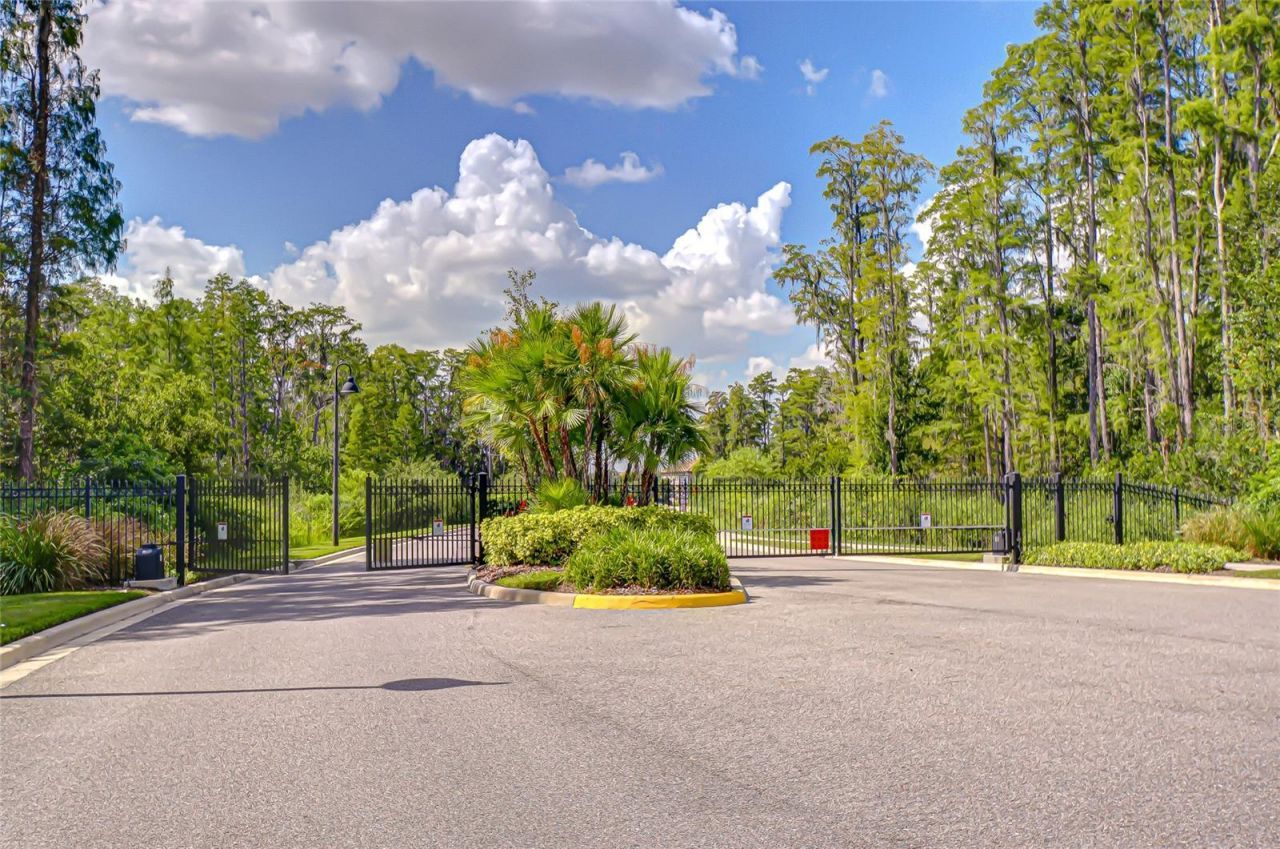 21867 Amelia Rose Way, Land O Lakes, FL 34637 Photo