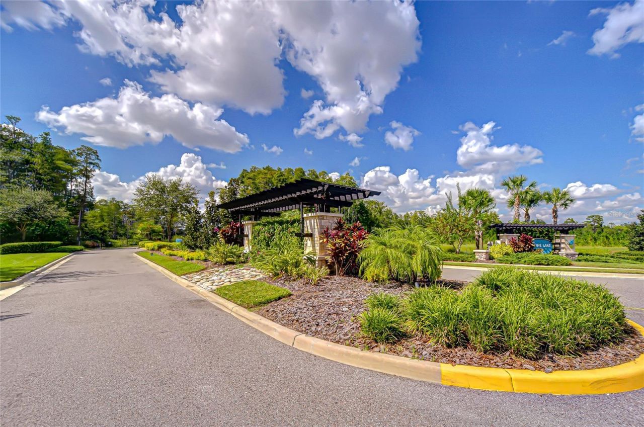 21867 Amelia Rose Way, Land O Lakes, FL 34637 Photo