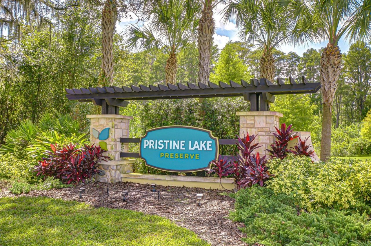 21867 Amelia Rose Way, Land O Lakes, FL 34637 Photo