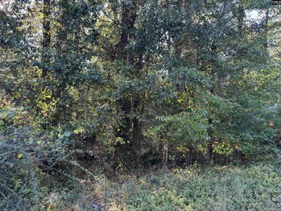 000 Quattlebaum Avenue, Ridge Spring, SC 29129