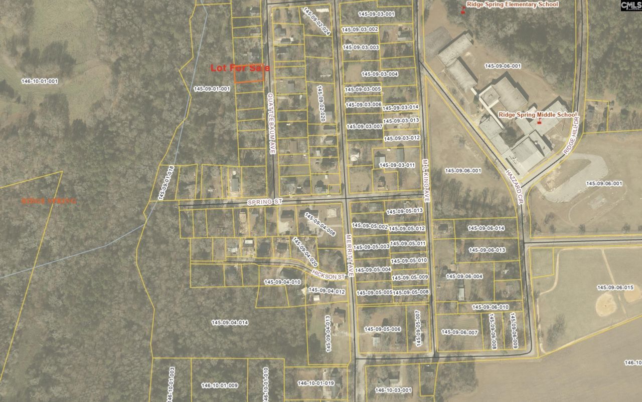 000 Quattlebaum Avenue Photo 9