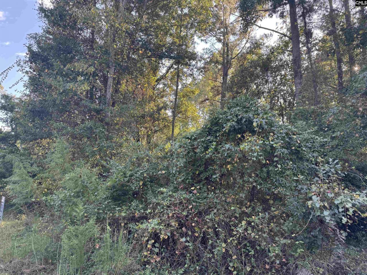 000 Quattlebaum Avenue Photo 4