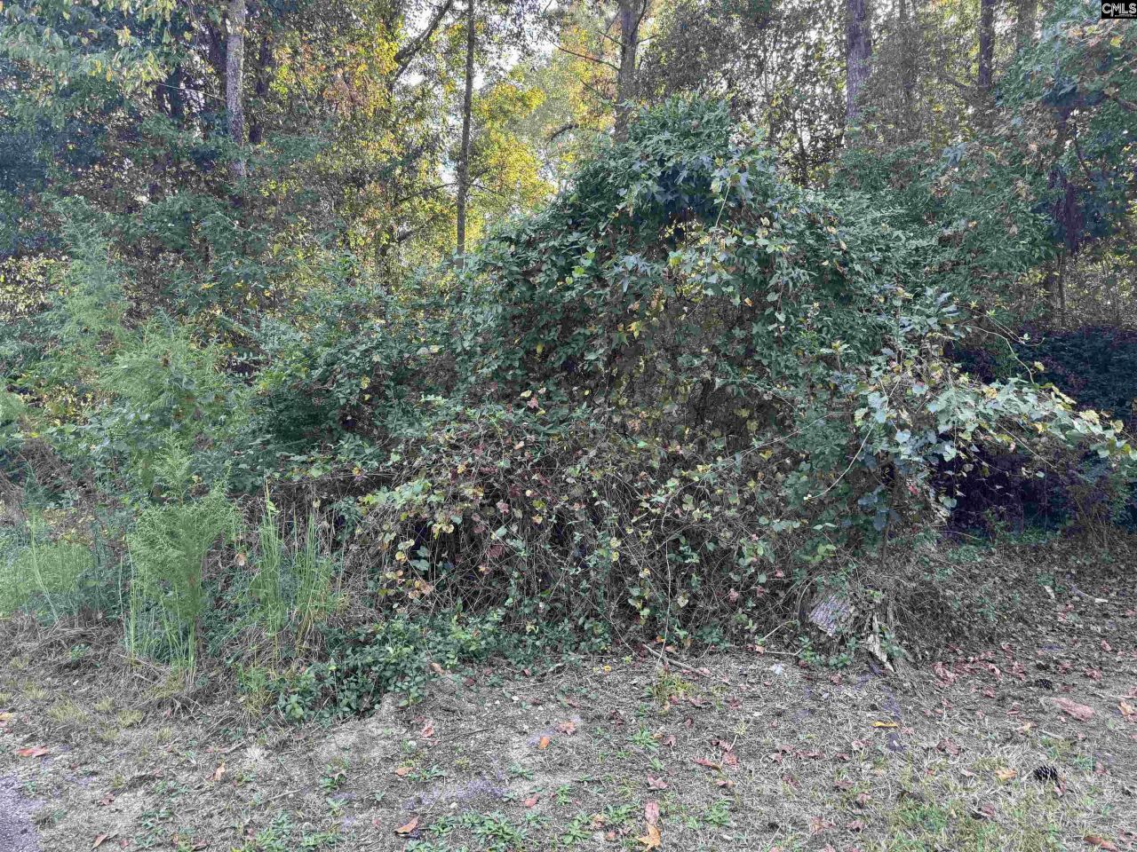 000 Quattlebaum Avenue Photo 5