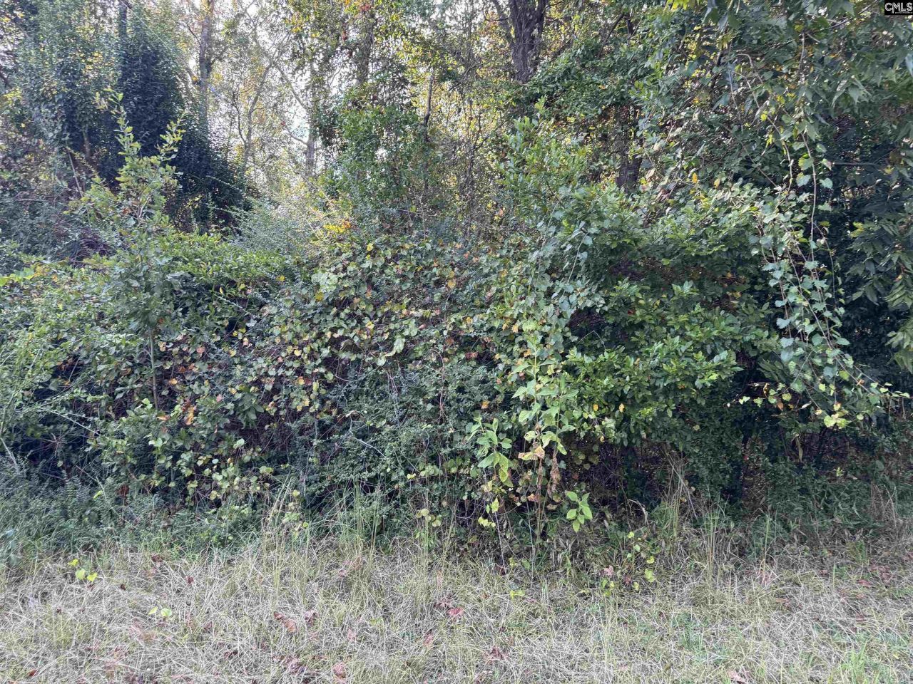 000 Quattlebaum Avenue Photo 6