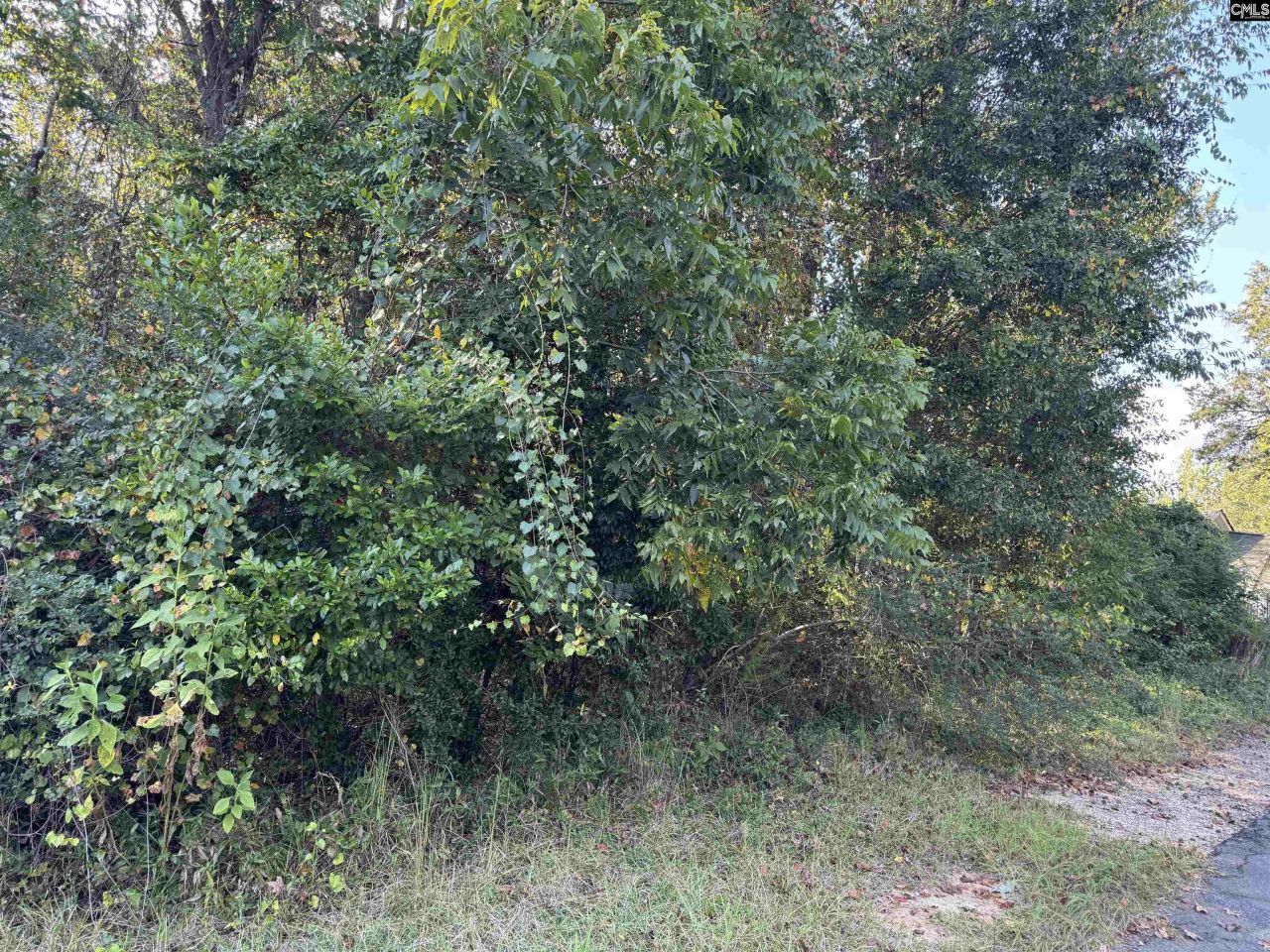 000 Quattlebaum Avenue Photo 7