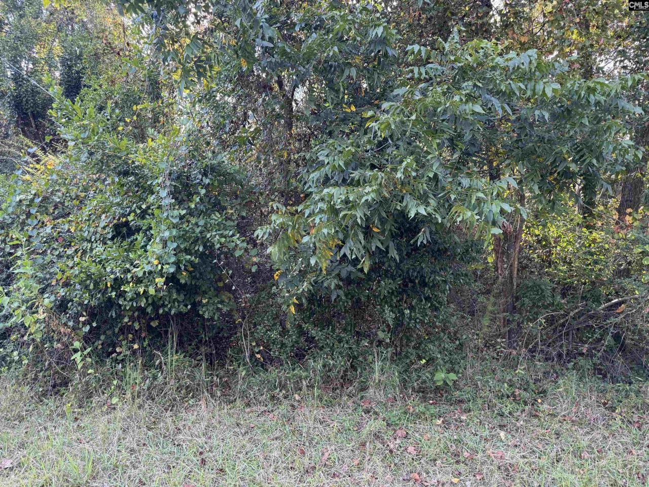 000 Quattlebaum Avenue Photo 8