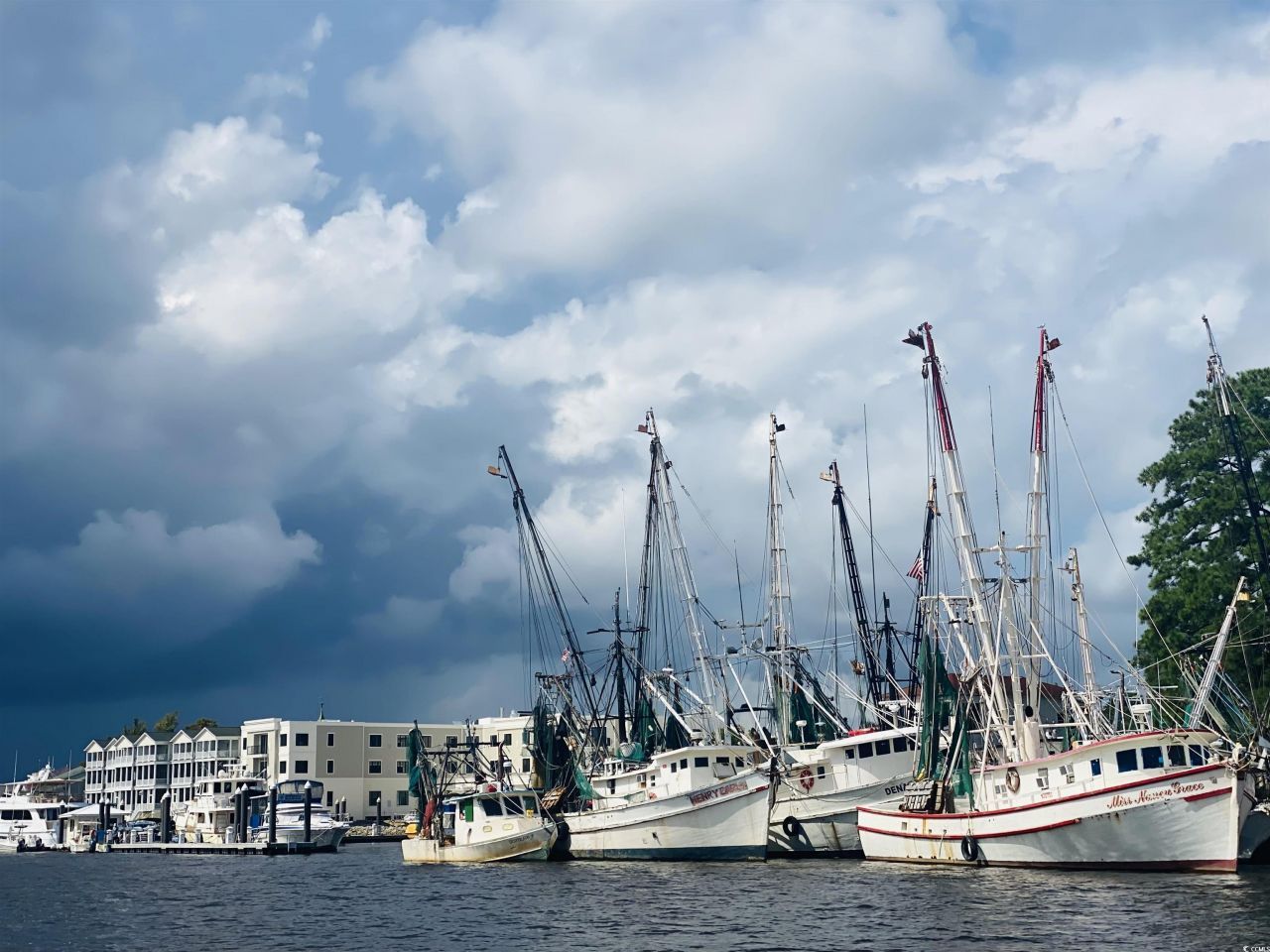 811 Prince St. Photo 39