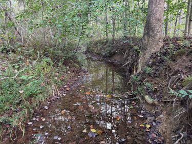 0 Mountain Ridge Lane, Shipman, VA 22971