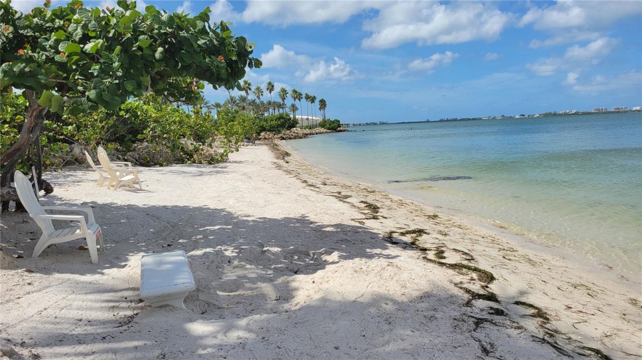 11 Sunset Drive, Unit 304, Sarasota, FL 34236 Photo