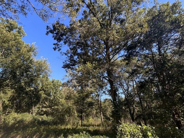 Betty Walton Road, Como, MS 38619