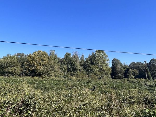 Lucius Taylor Road, Como, MS 38619