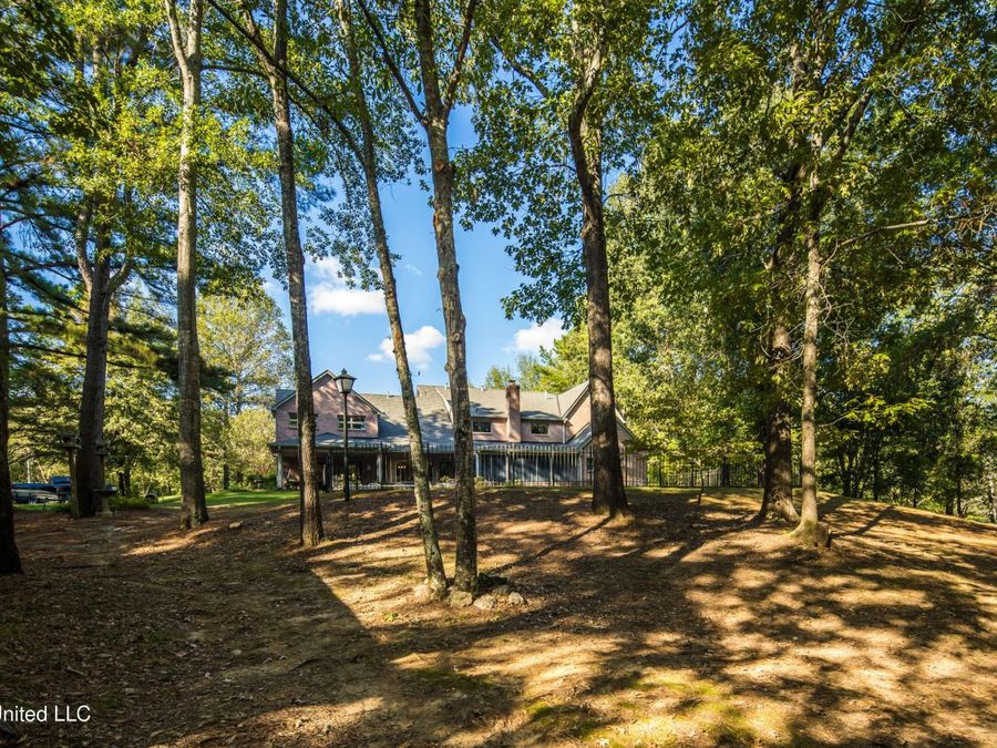 Property Image 46
