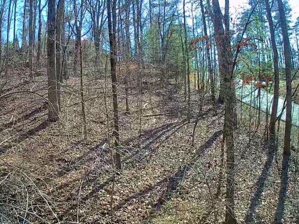 0 Northwoods Lane, Trenton, GA 30752