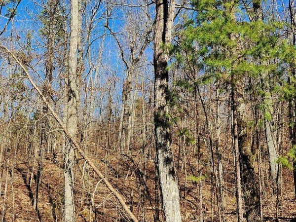 0 Northwoods Lane, Trenton, GA 30752