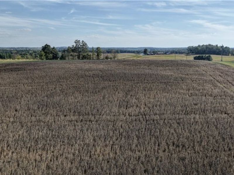 State Route 520, Glenmont, OH 44628 Photo 10