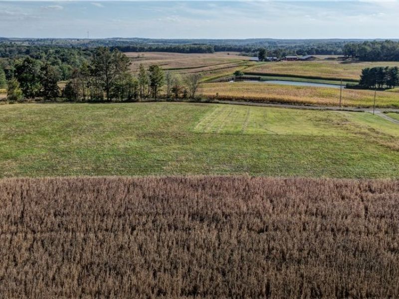 State Route 520, Glenmont, OH 44628 Photo 11