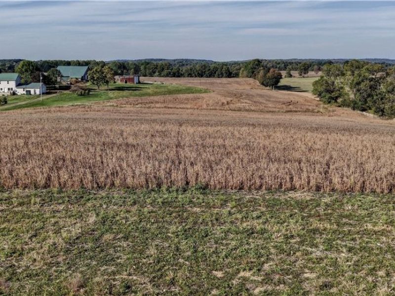 State Route 520, Glenmont, OH 44628 Photo 14