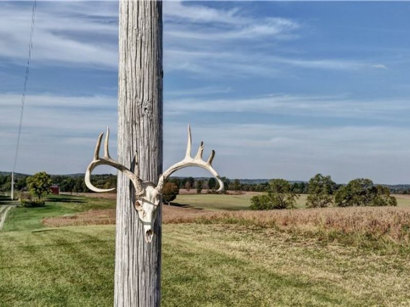 State Route 520, Glenmont, OH 44628 Photo 17