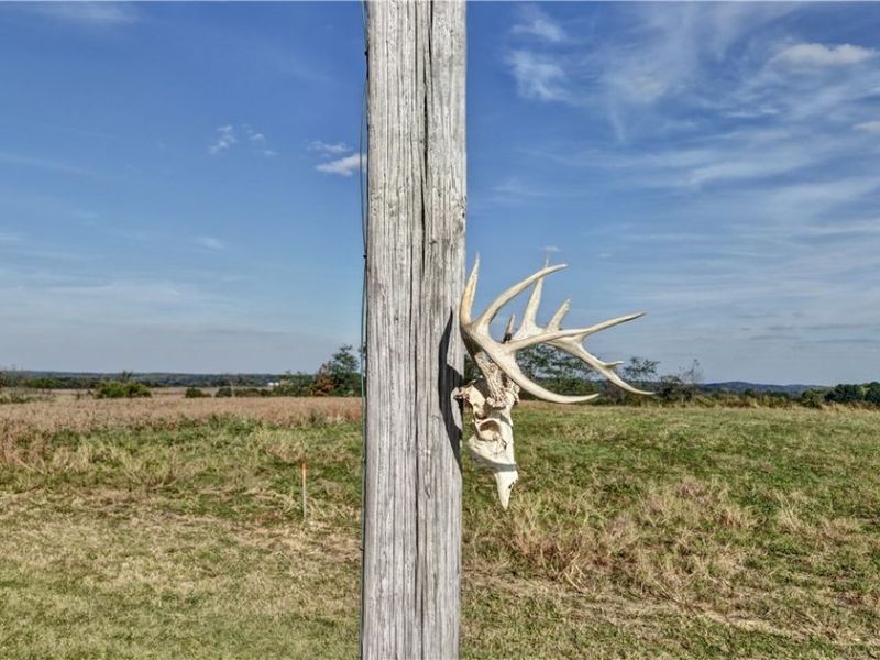 State Route 520, Glenmont, OH 44628 Photo 18