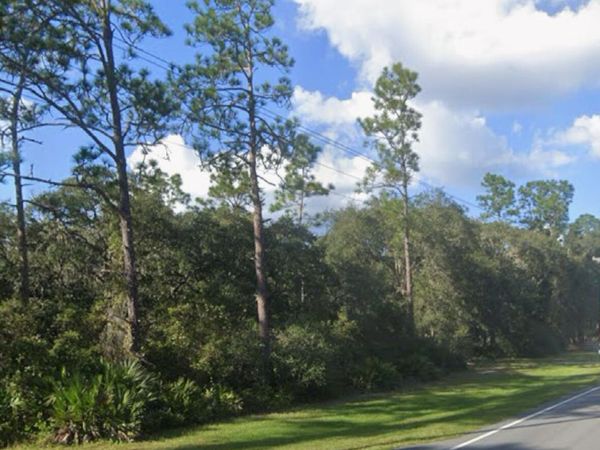 0 NE 315 Hwy, Fort McCoy, FL 32134