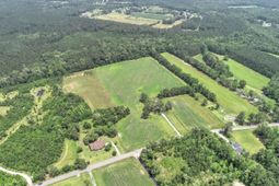 1393 Carter Road photo 4