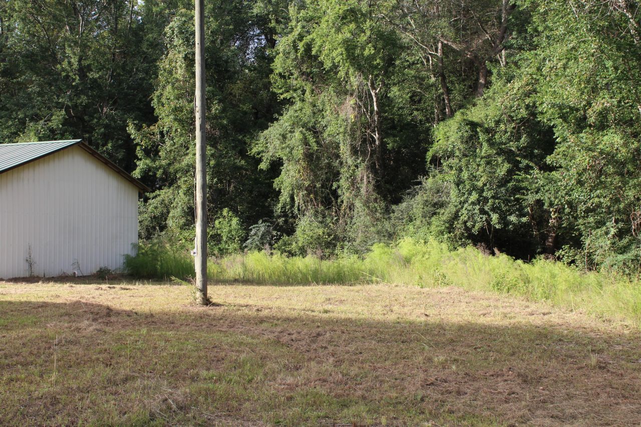 338 Browning Road Photo 11