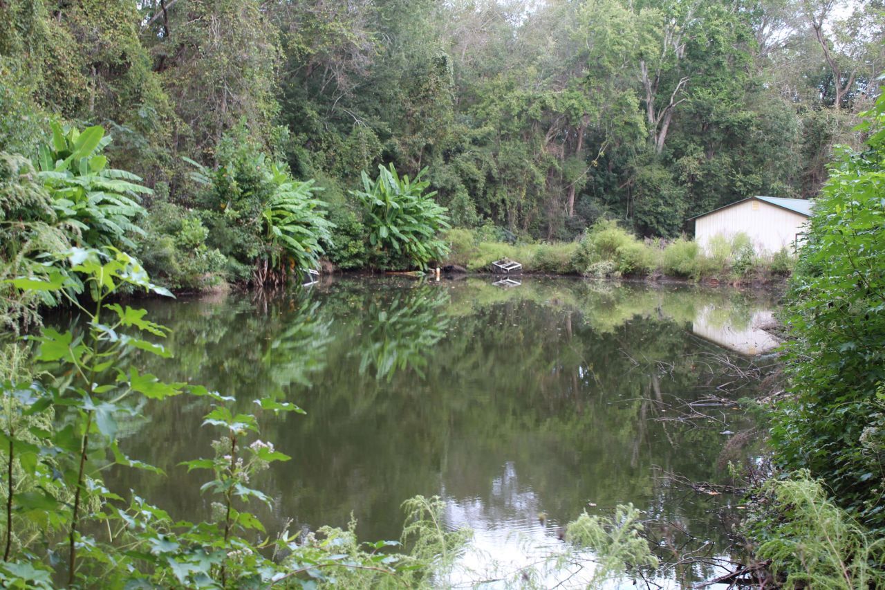 338 Browning Road Photo 16