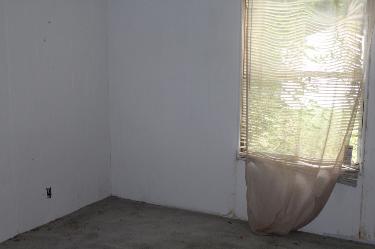 338 Browning Road Photo 17