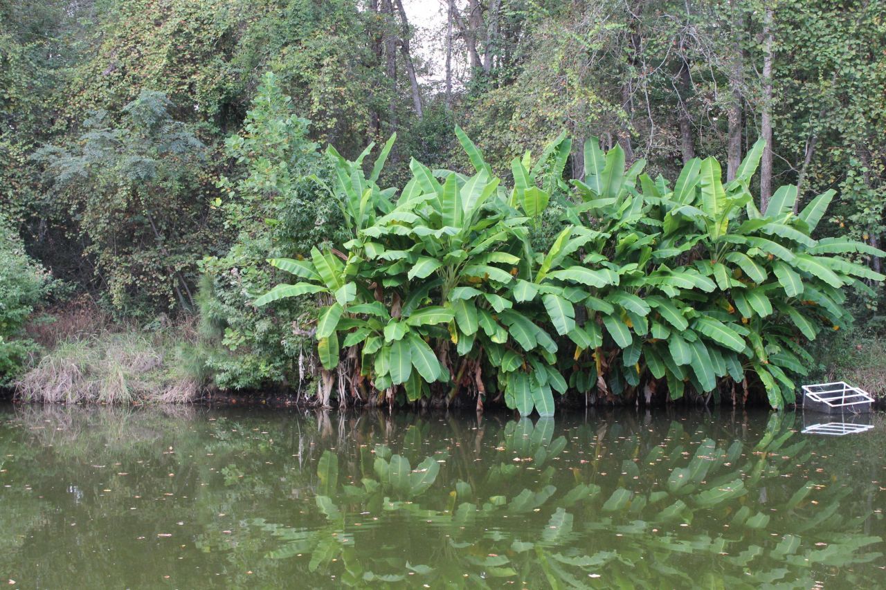 338 Browning Road Photo 28