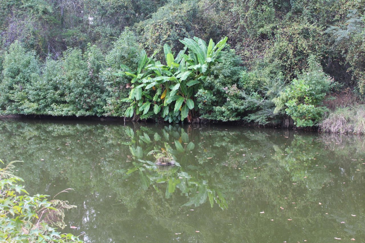 338 Browning Road Photo 29