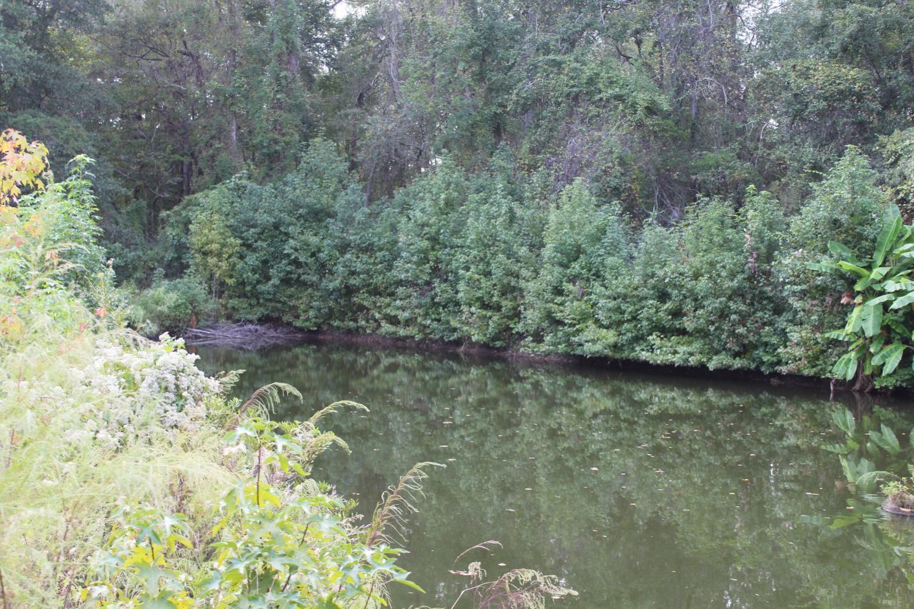 338 Browning Road Photo 30