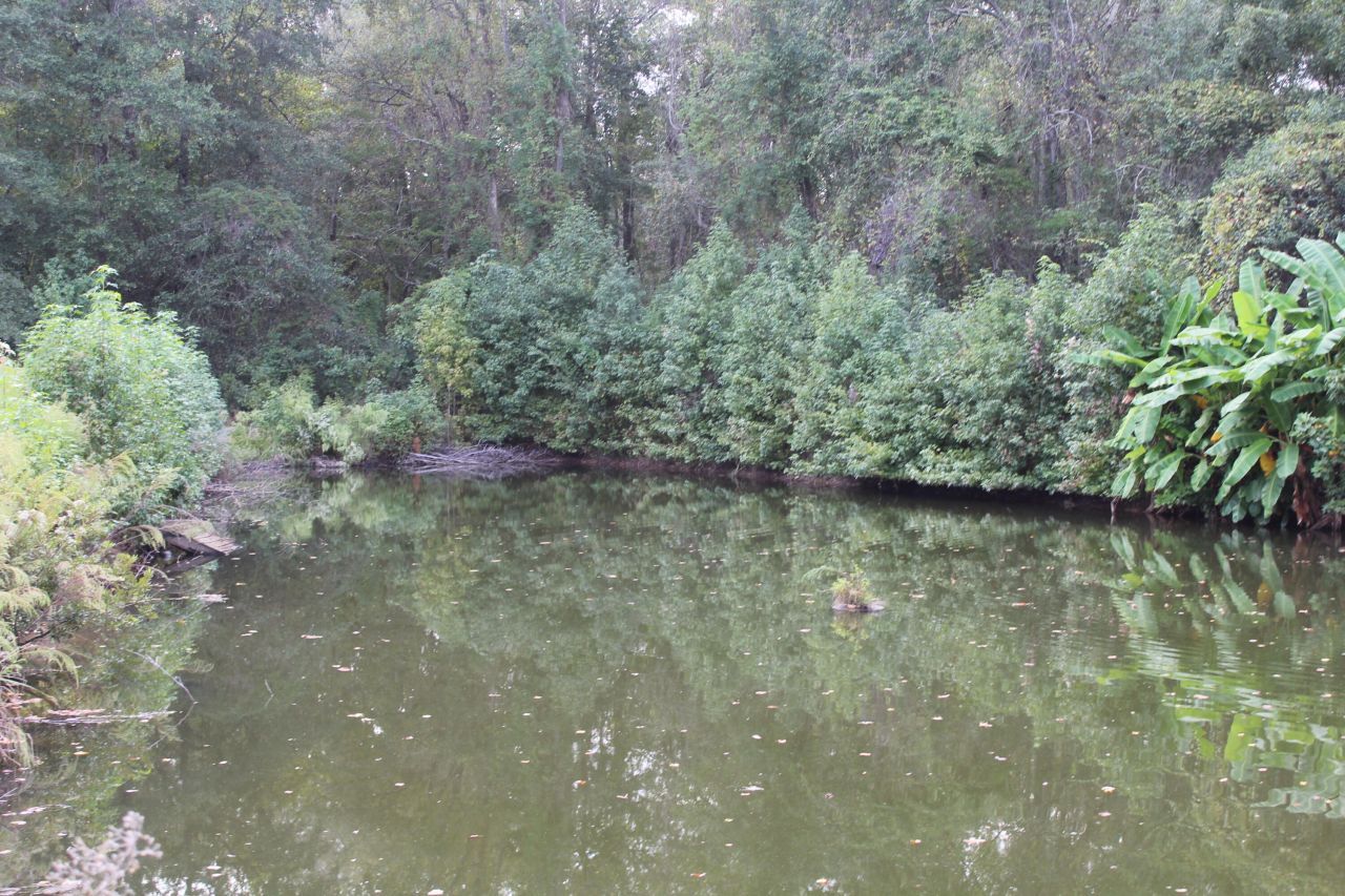 338 Browning Road Photo 31