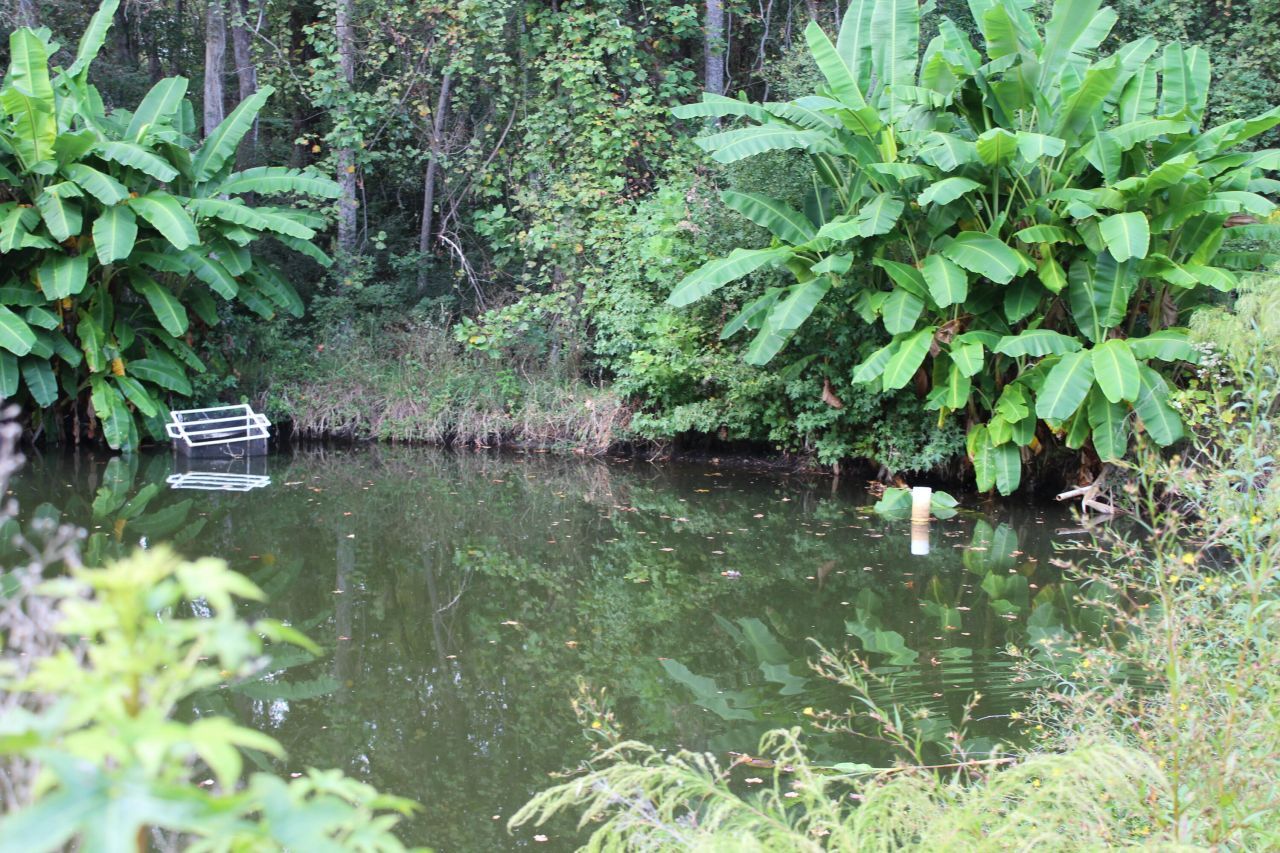 338 Browning Road Photo 32