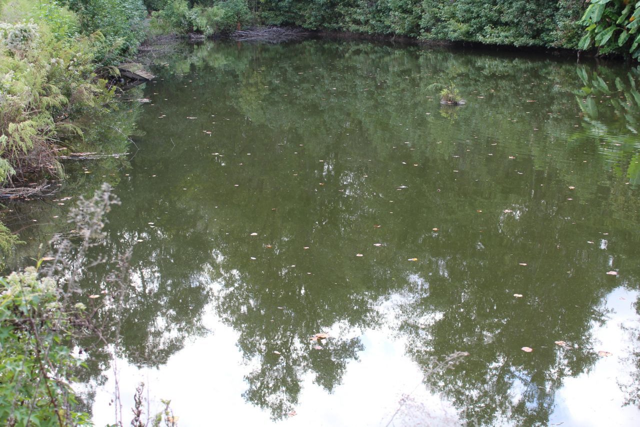 338 Browning Road Photo 33